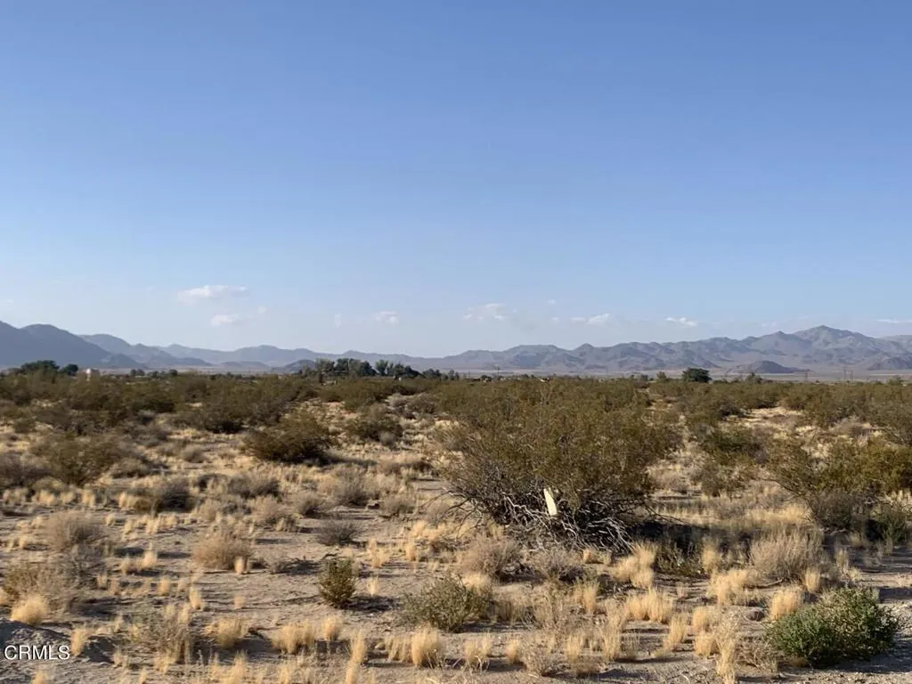 0 Rabbit Springs Lucerne Valley, CA 92356 - Photo 8 of 11 a view of lake with mountain