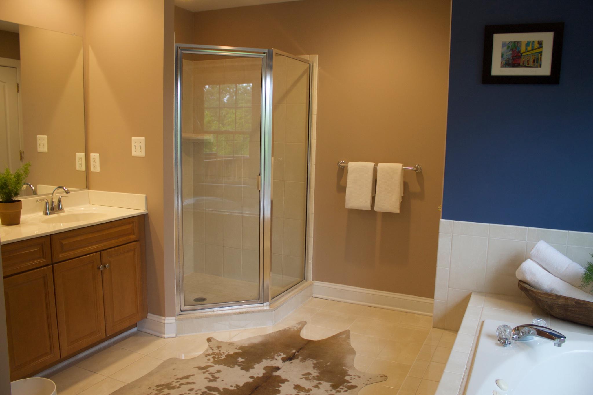 1219 Meadow View Road Pasadena, MD 21122 - Photo 3 of 16 Primary Suite bathroom with stylish accents.