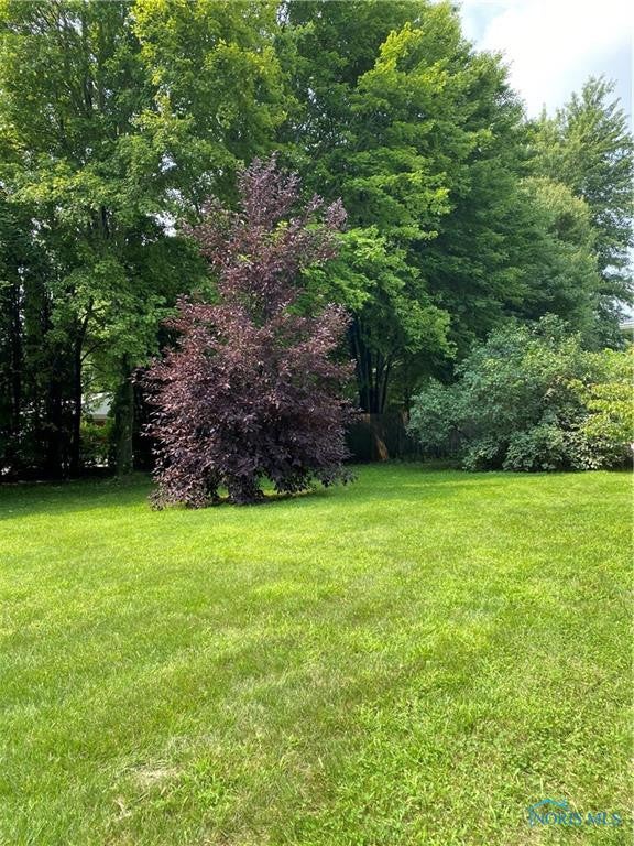 6040 Manore Road Swanton, OH 43558 - Photo 5 of 28 Gallery Image 5