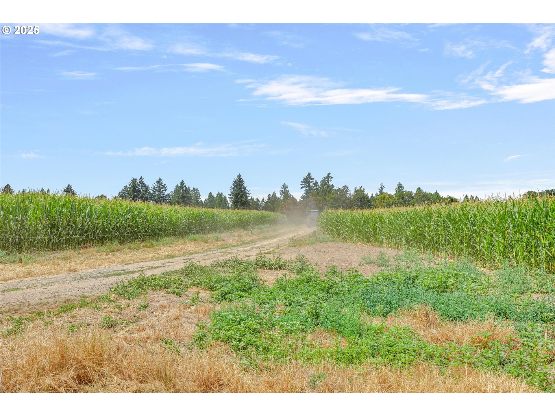 21303 South Central Point Road Oregon City, OR 97045 - Photo 48 of 48 a view of lake with green space