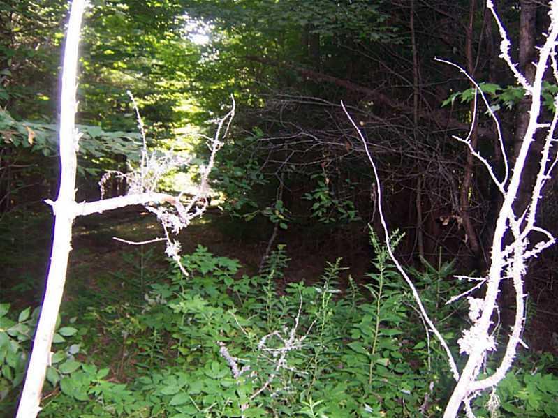Lot 4-2 South Road Ellsworth, ME 04605 - Photo 5 of 8 Thoughtful site clearing will let...