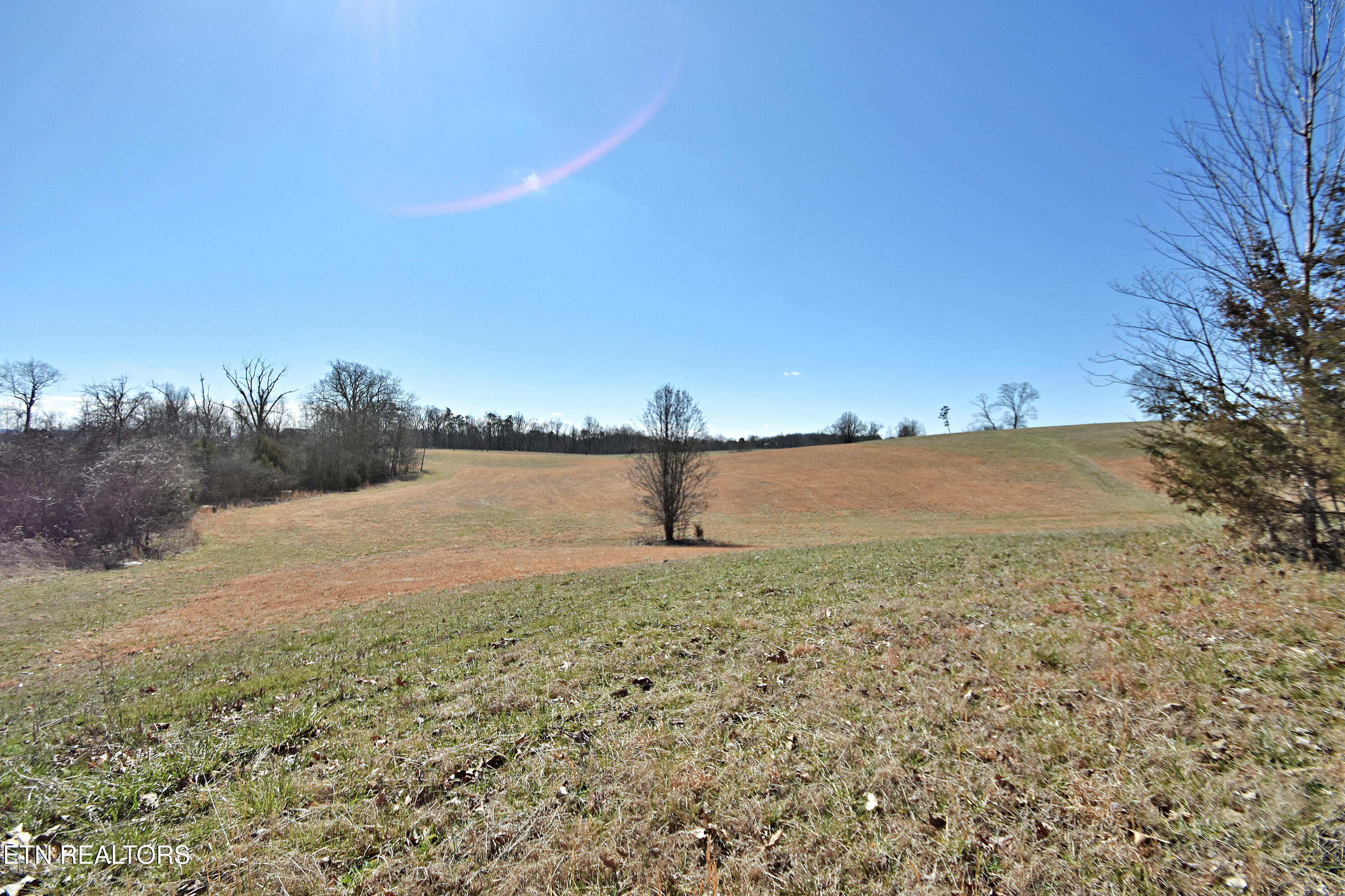 Lot 25 Ranch Road Blaine, TN 37709 - Photo 3 of 21 DSC_9034