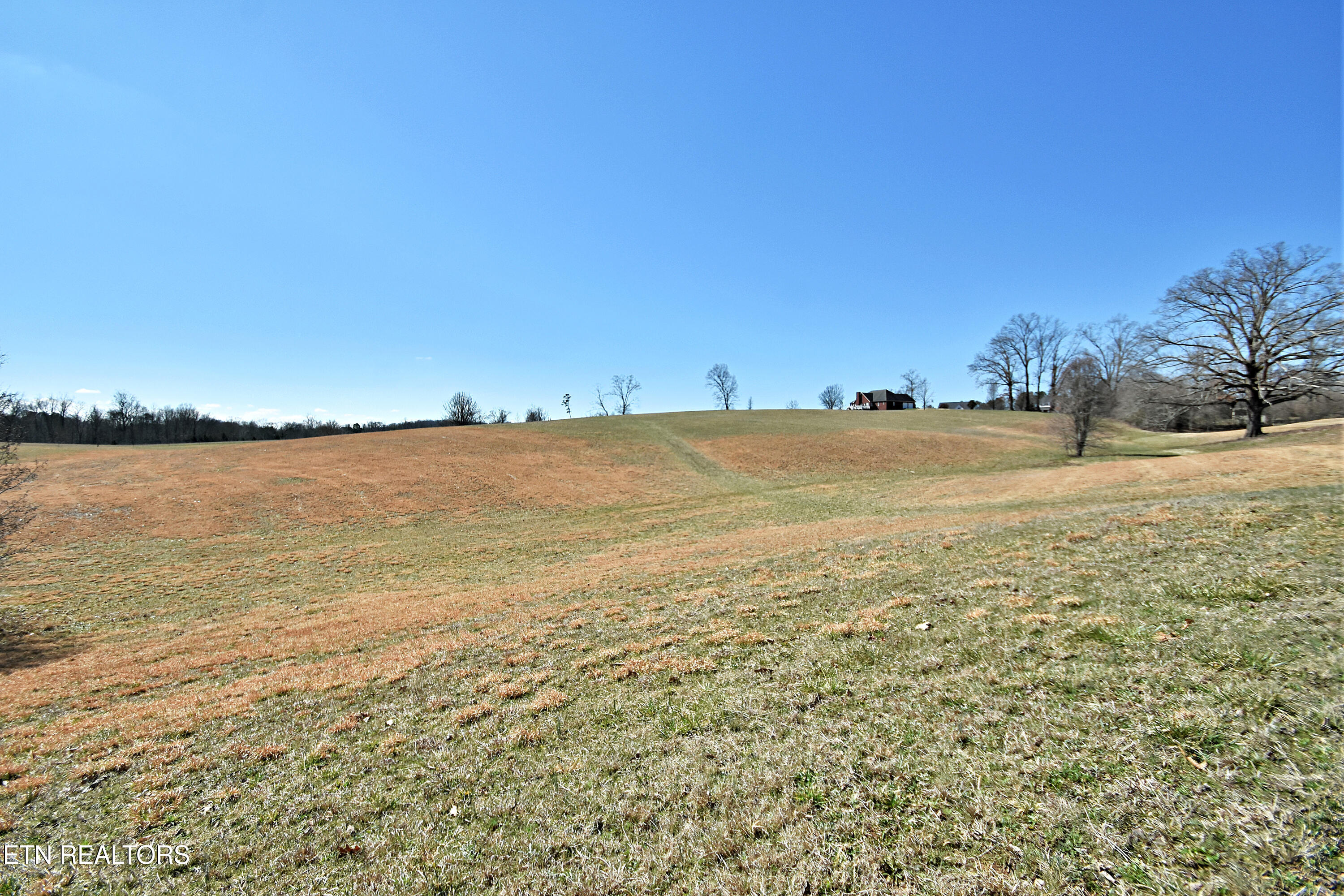 Lot 25 Ranch Road Blaine, TN 37709 - Photo 4 of 21 DSC_9036