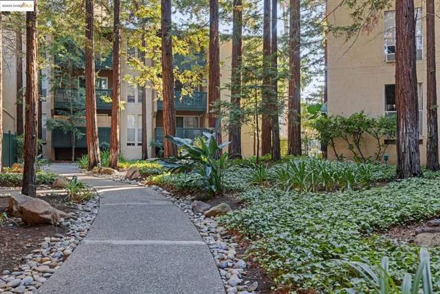 a view of outdoor space yard swimming pool and patio