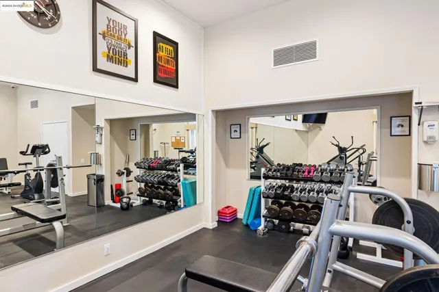 a view of a garden with pathway