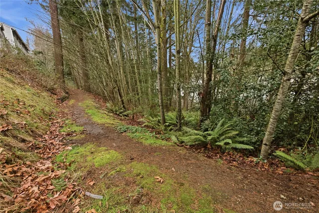 a view of a yard with plants and trees