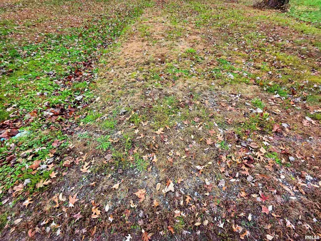 $12,000 | 101 Watkins Street, Cisne, IL 62823