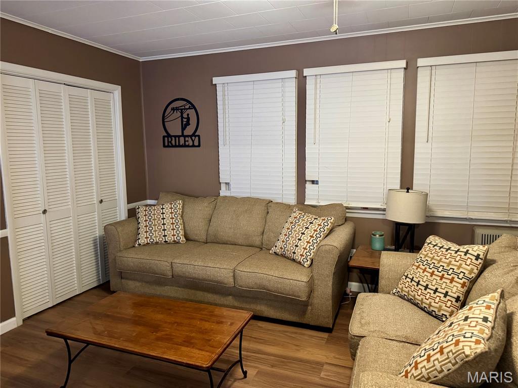 413 Church Street Holcomb, MO 63852 - Photo 2 of 10