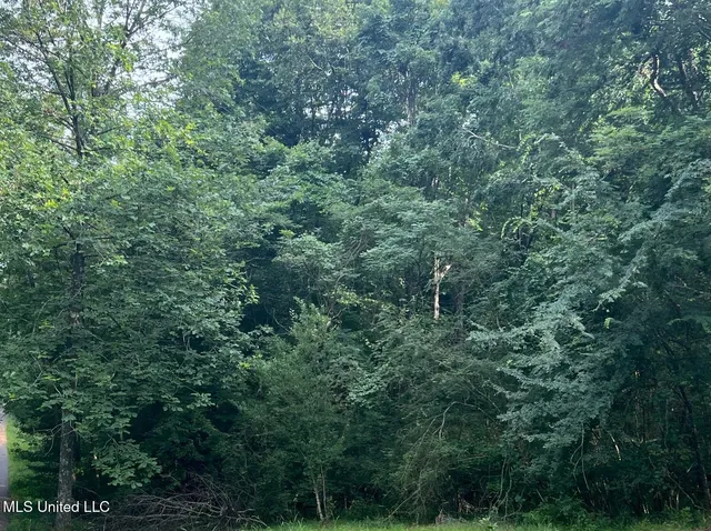 $349,000 | 0 Ms-315, Sardis, MS 38666