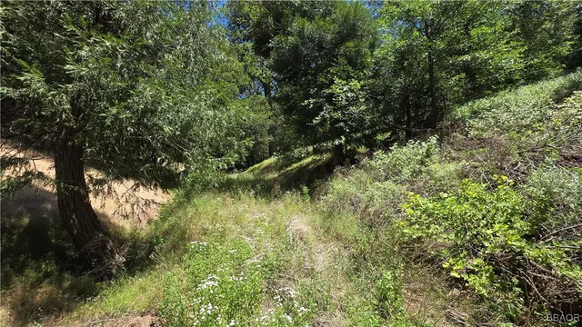 $5,500 | 0 Mojave River, Cedarpines Park, CA 92322