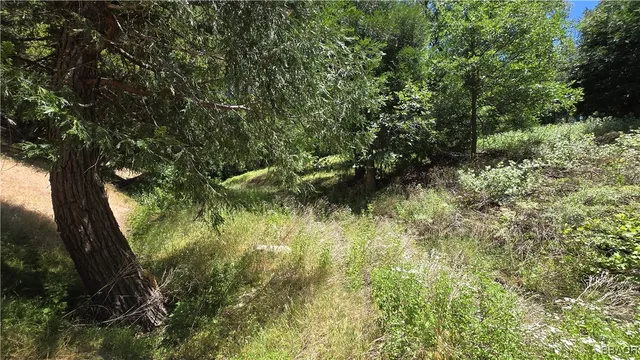 $5,500 | 0 Mojave River, Cedarpines Park, CA 92322