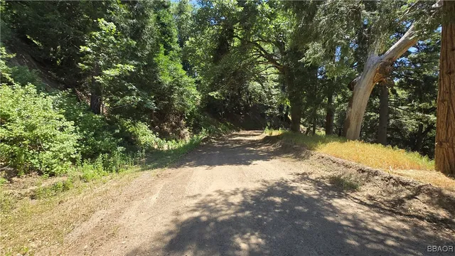 $5,500 | 0 Mojave River, Cedarpines Park, CA 92322