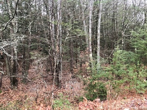 5-6 Athol Road Petersham, MA 01366 - Photo 6 of 11 Gallery Image 6