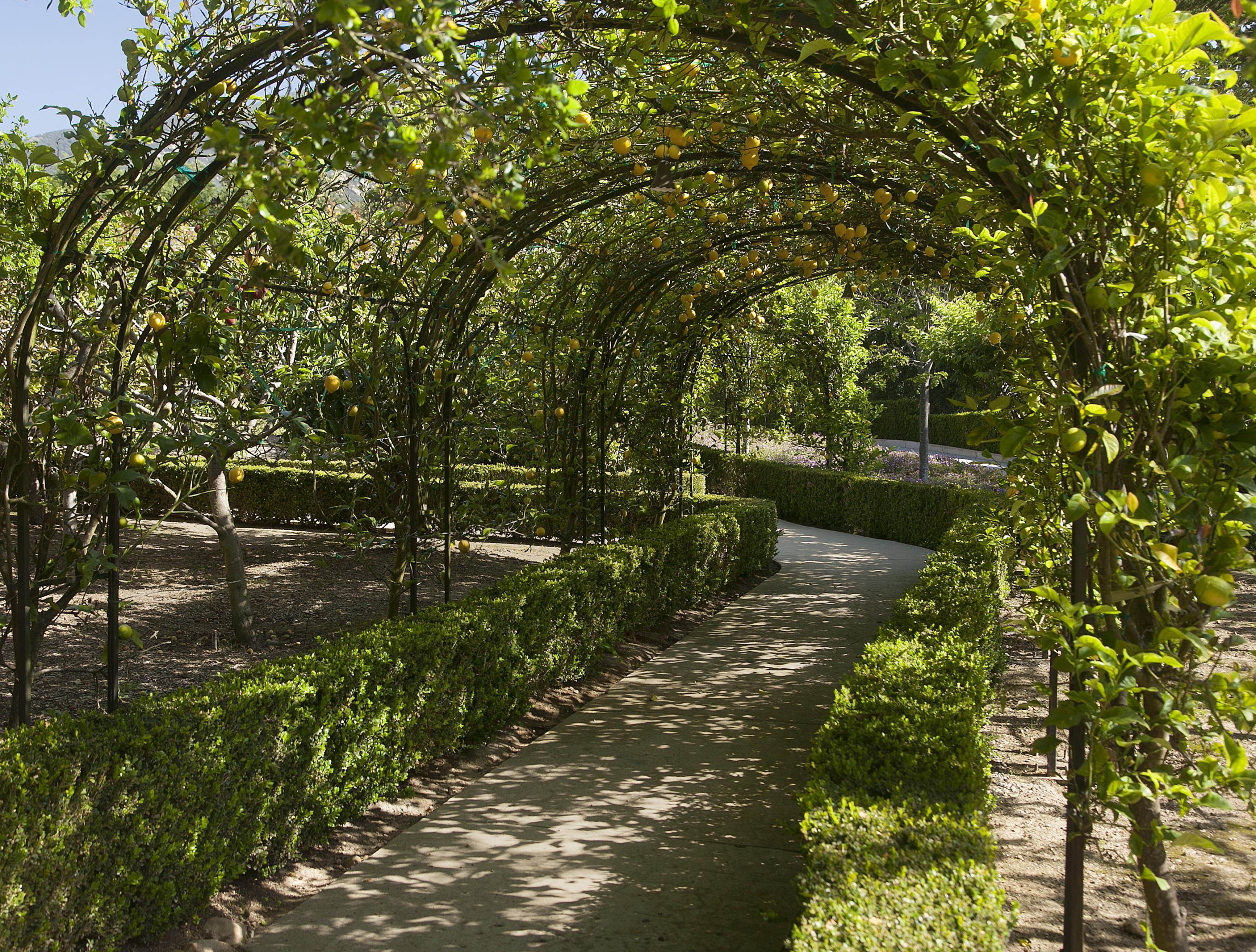 690 Picacho Lane Montecito, CA 93108 - Photo 20 of 22 a backyard of a house with lots of green space