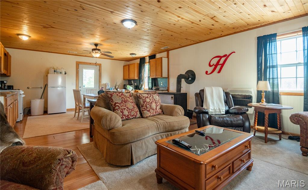 1743 Ripley Route North Doniphan, MO 63935 - Photo 70 of 97