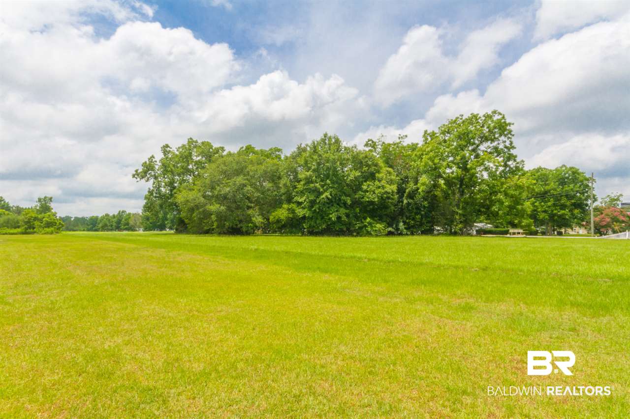 0 US Highway 98 Elberta, AL 36530 - Photo 2 of 13