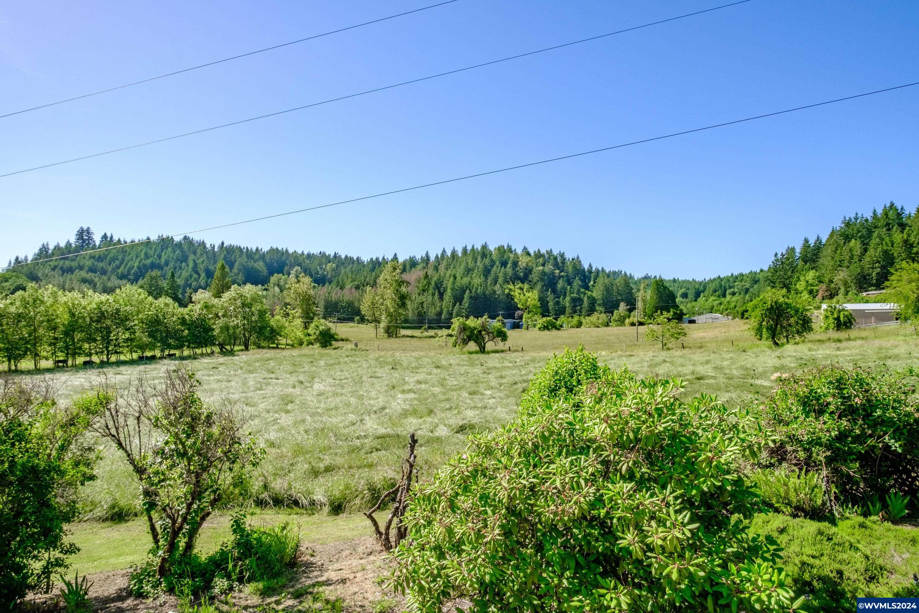 38641 Hungry Hill Road Scio, OR 97374 - Photo 41 of 42 Gallery Image 41