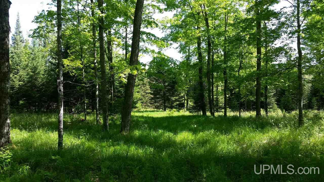Tbd Off Swan Peterson Road Foster City, MI 49807 - Photo 8 of 18