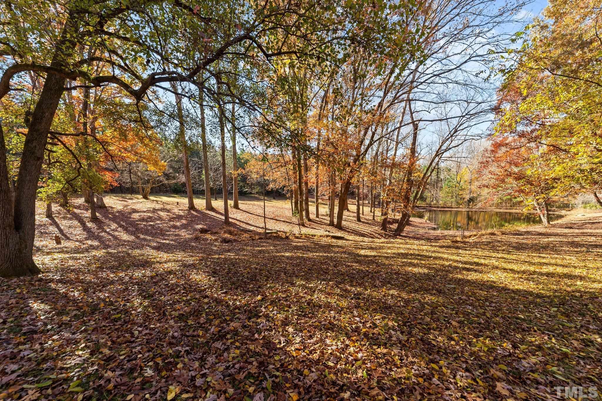 1275 Spring Valley Lake Road Henderson, NC 27537 - Photo 26 of 30 a view of dirt yard with a large tree