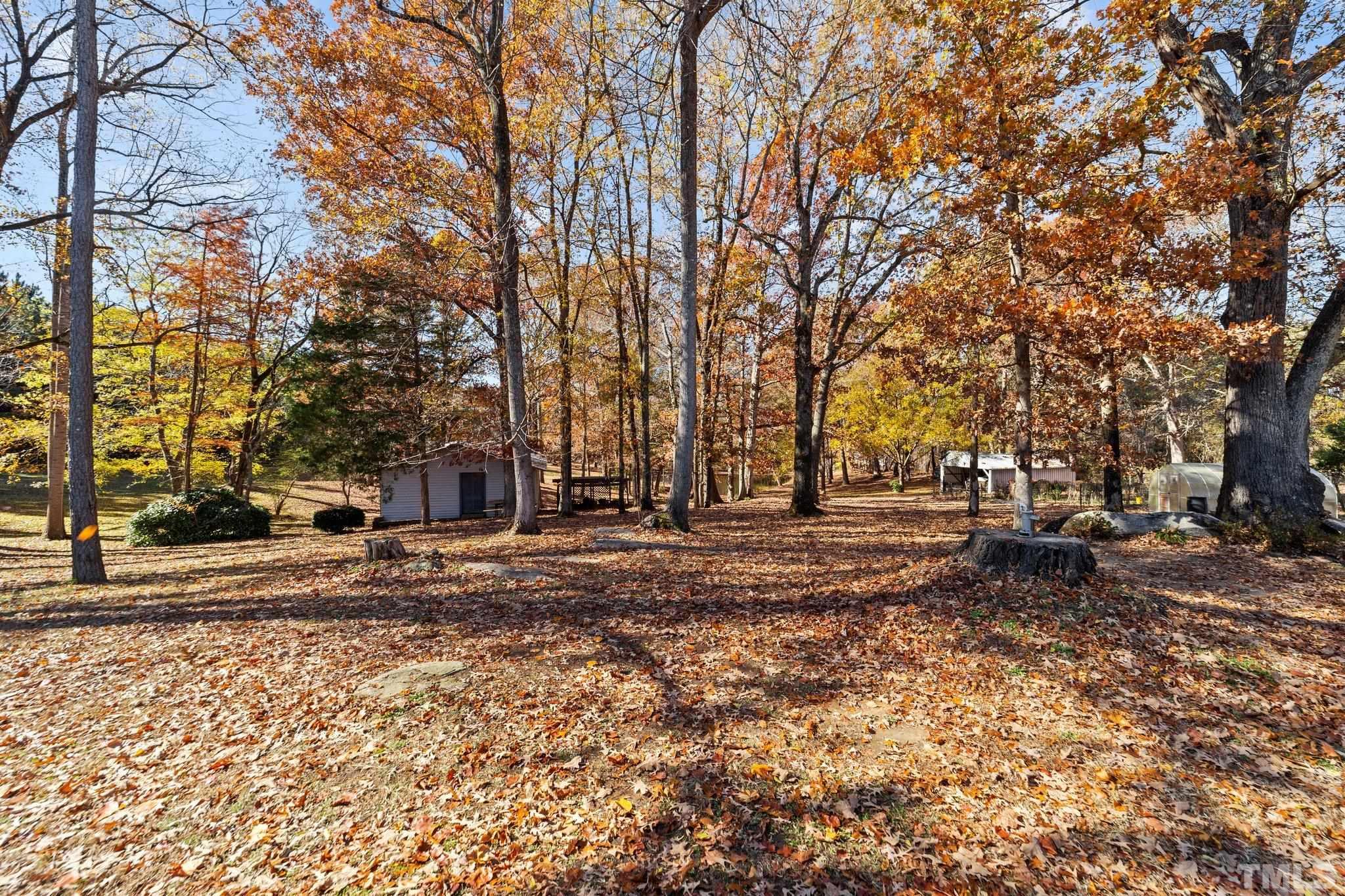 1275 Spring Valley Lake Road Henderson, NC 27537 - Photo 27 of 30 a view of a tree in the middle of a yard