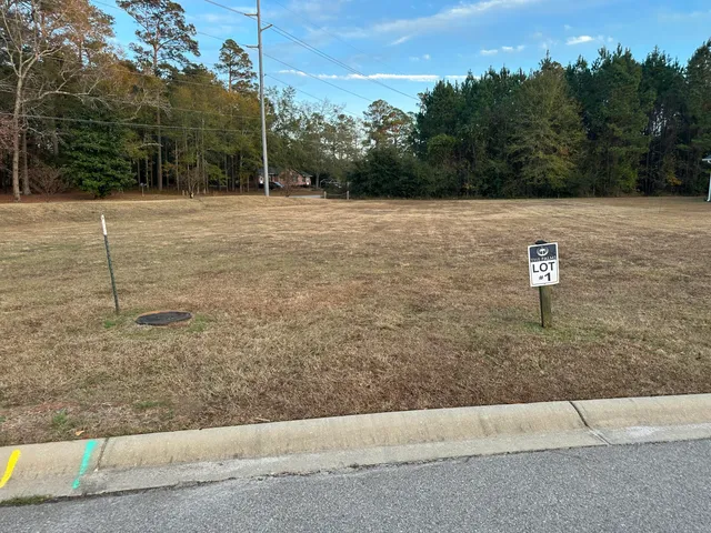 $60,000 | 111 Sago Palm Drive, Orangeburg, SC 29118