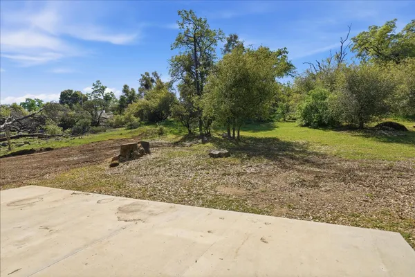 a white house that has a tree in front of it