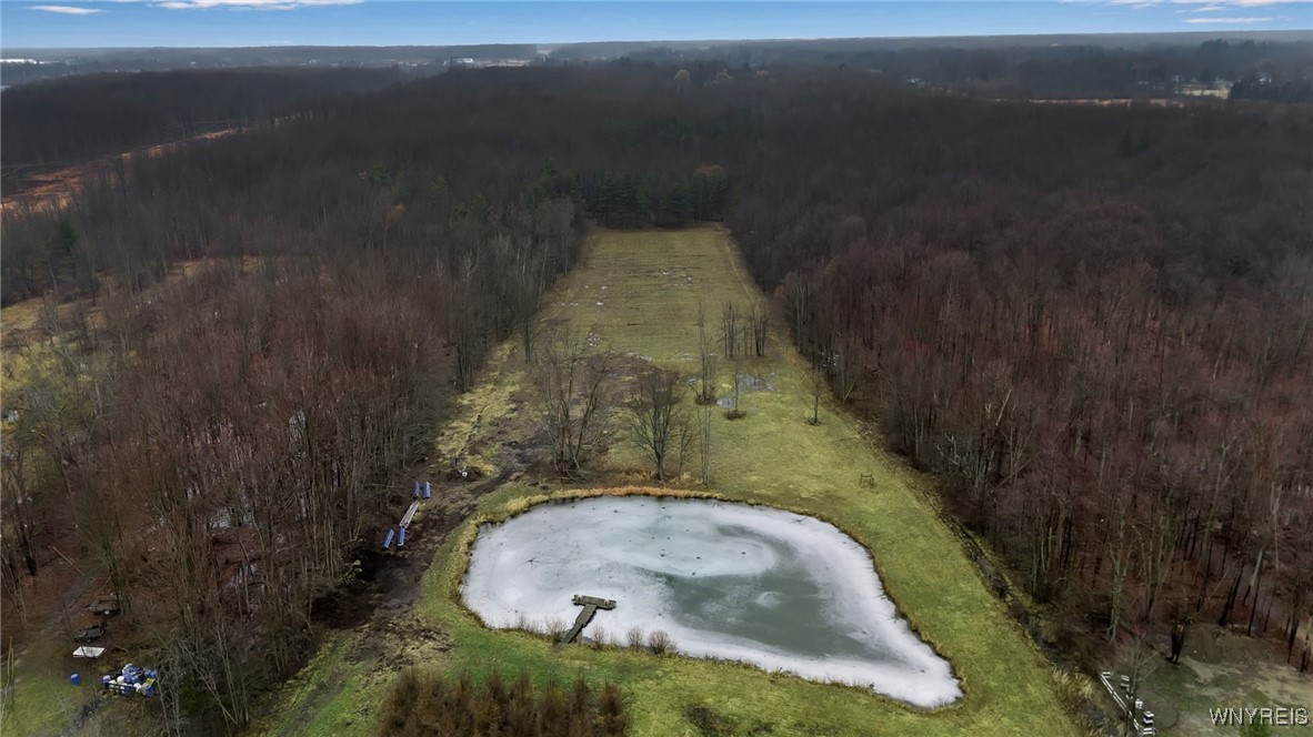 3212 Hickox Road Hamburg, NY 14075 - Photo 37 of 41