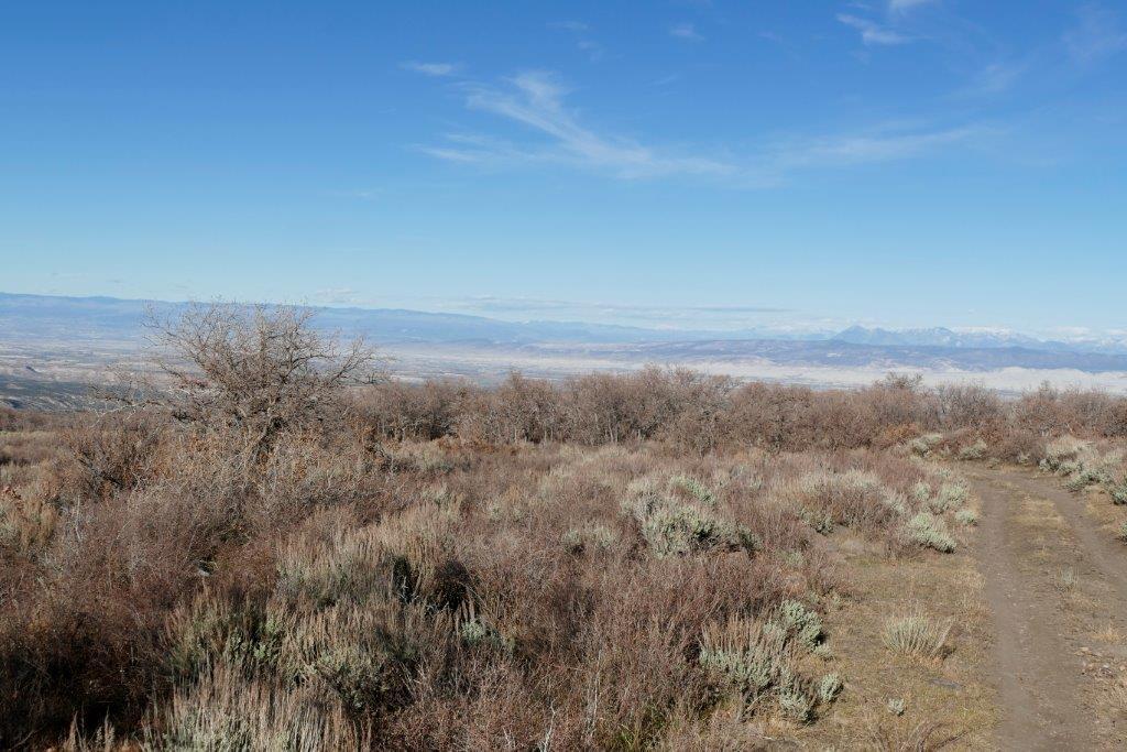 Tbd Tbd 90th Road Montrose, CO 81403 - Photo 8 of 13 _1070285