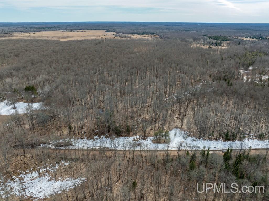 Tbd Tbd 26th Road Chatham, MI 49816 - Photo 9 of 15