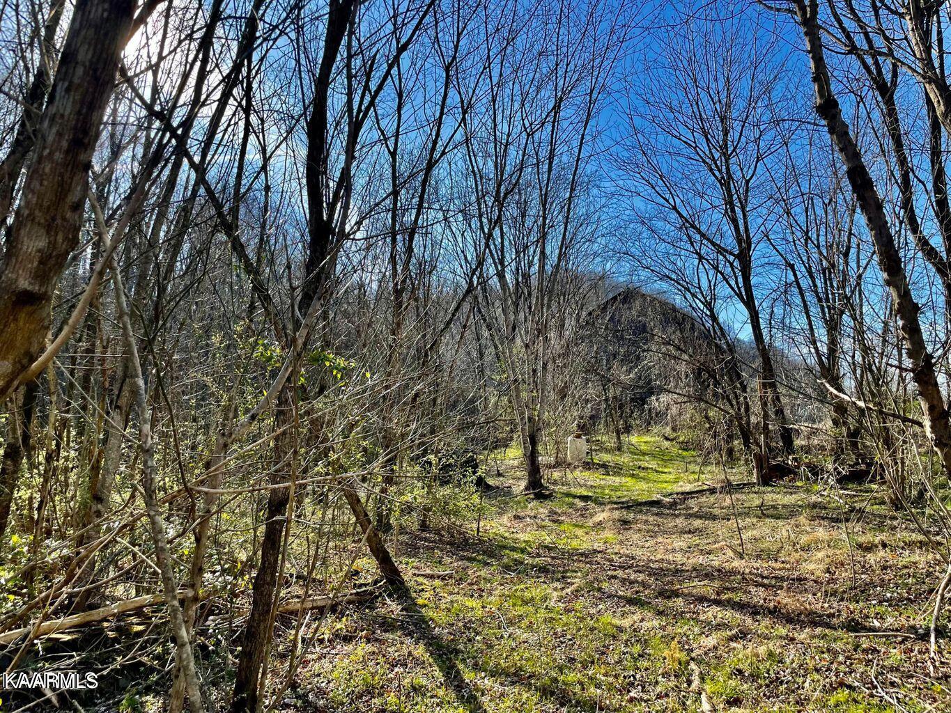 3496 Sulphur Springs Road Morristown, TN 37813 - Photo 6 of 7 SS2