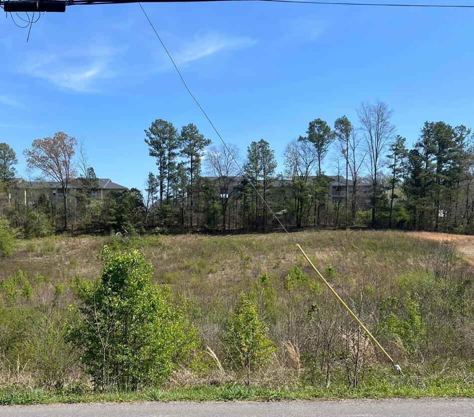 a view of a yard