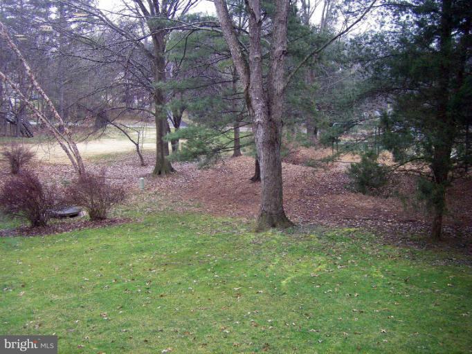 1844 Post Oak Trail Reston, VA 20191 - Photo 21 of 27 a view of a yard with a tree