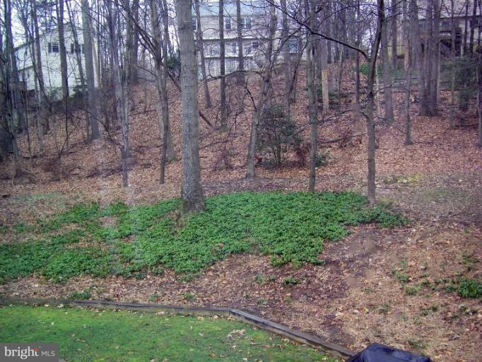 1844 Post Oak Trail Reston, VA 20191 - Photo 5 of 27 a view of a yard with a tree