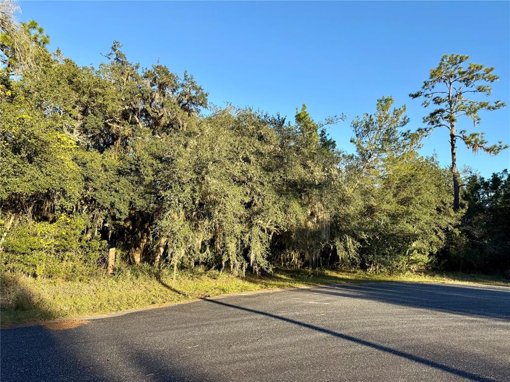 Flag Street Eustis, FL 32736 - Photo 2 of 2 a view of a garden