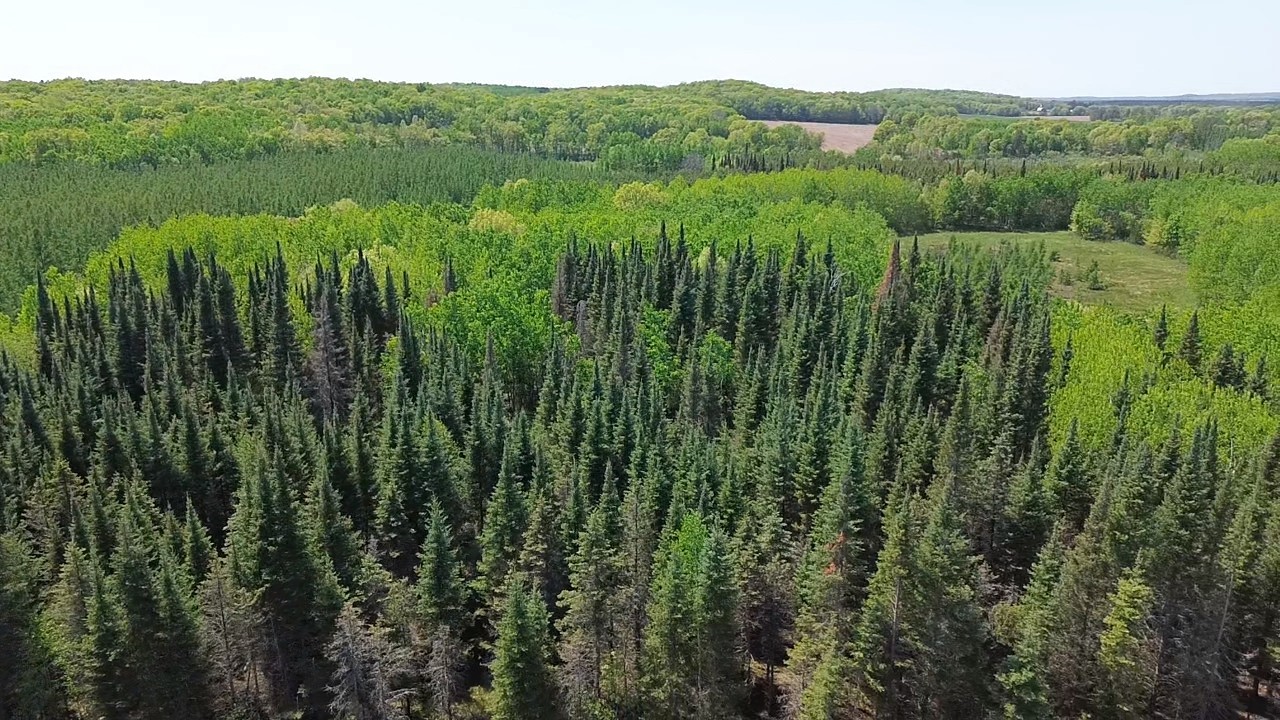 349 X 5th Avenue Shell Lake, WI 54871 - Photo 29 of 37