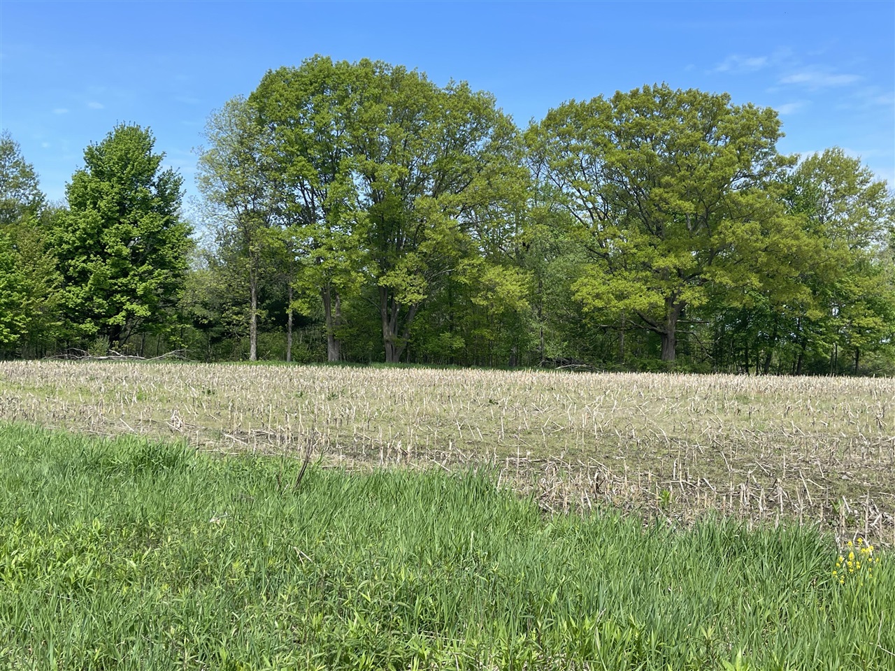 4514 22 Mile Road Northeast, Unit PARCEL 1 Sand Lake, MI 49343 - Photo 7 of 17