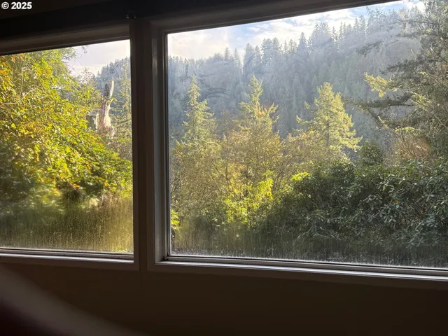 a view of a room with a window and a tree