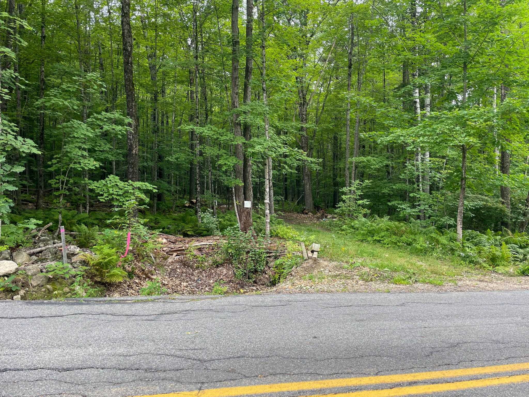 Lot 9 Roxbury Road Meredith, NH 03253 - Photo 5 of 11