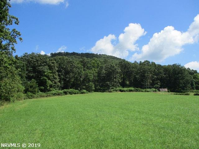 0 Buffalo Mountain Road Southwest Meadows Of Dan, VA 24120 - Photo 13 of 22 Gallery Image 13