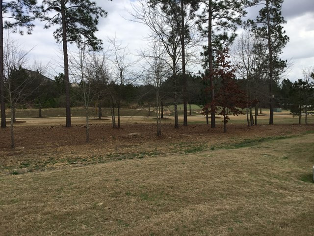 450 Strutter Trail Aiken, SC 29801 - Photo 15 of 17 Behind Townhouse