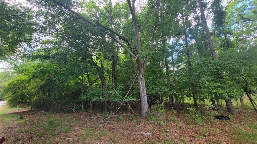 0 Lester Road Athens, GA 30607 - Photo 5 of 16