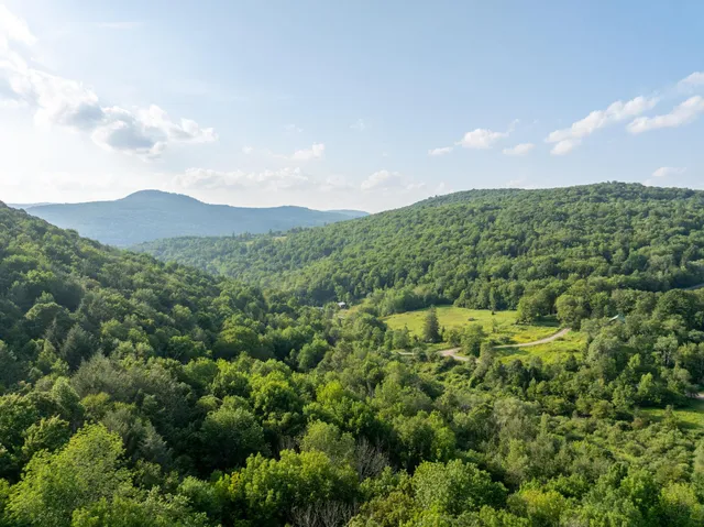 a view of a mountain in the distance in a field