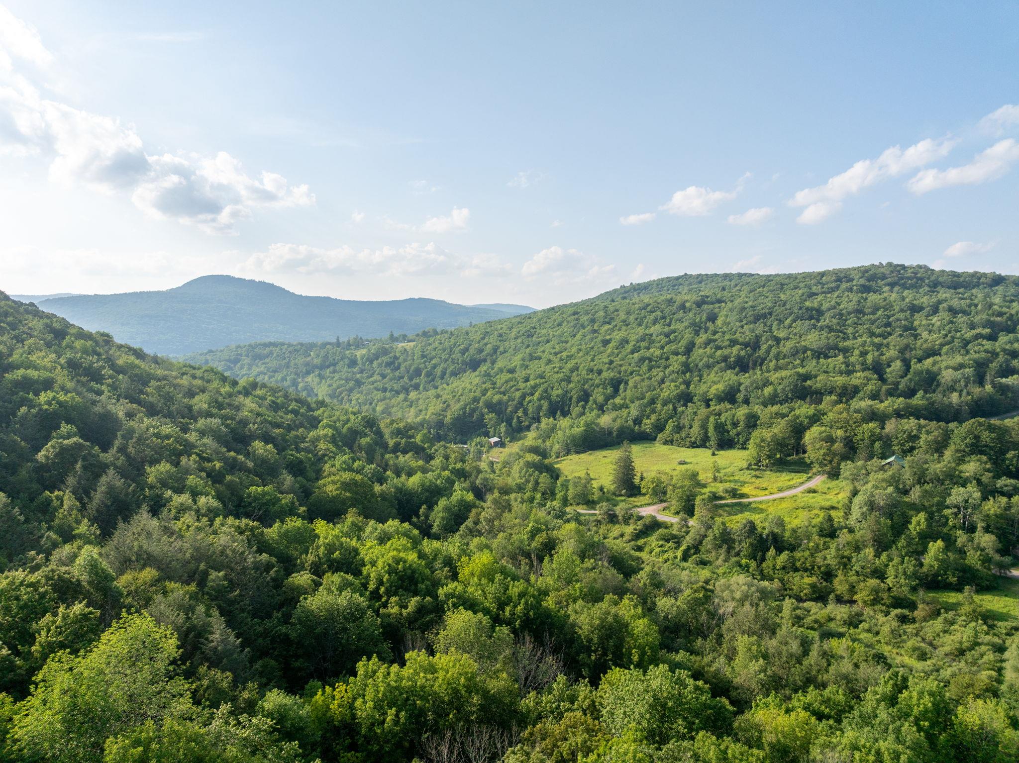 a view of a mountain in the distance in a field