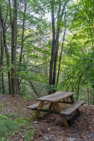 a view of a backyard with plants and trees