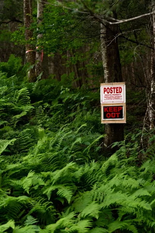 a sign that is sitting in a forest