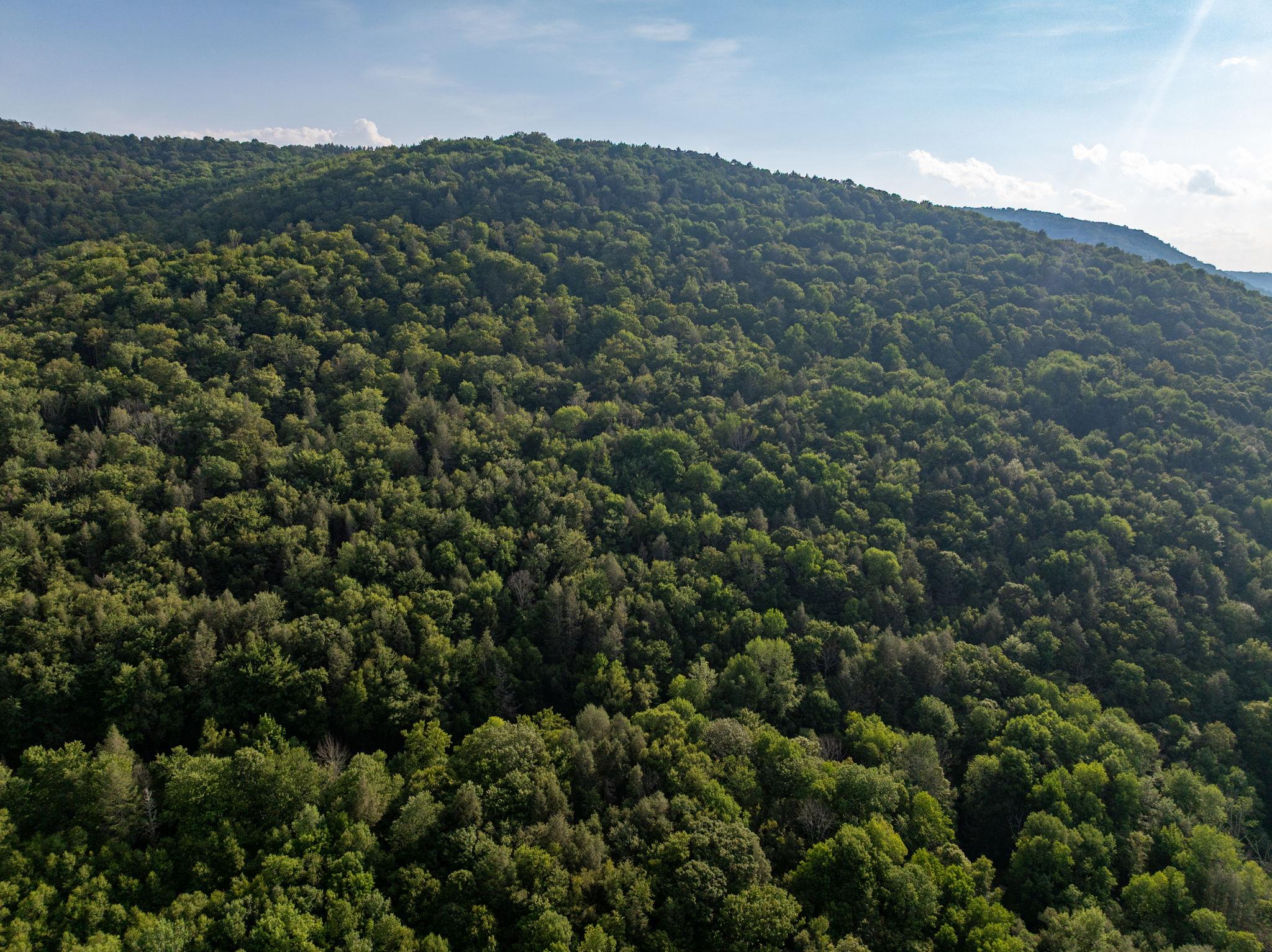 Broad Channel Road Andes, NY 13731 - Photo 18 of 23 a view of a city and mountains
