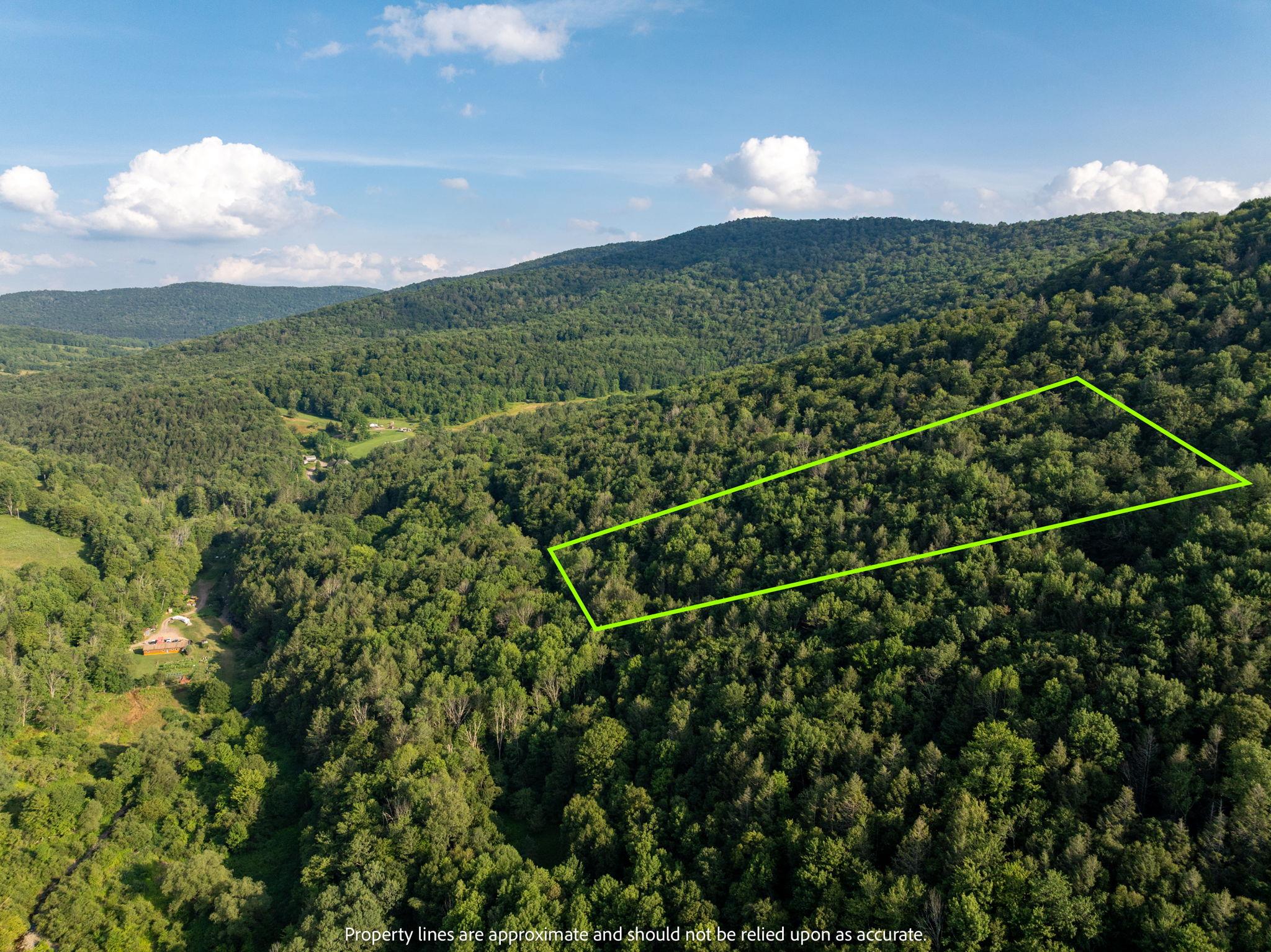 Broad Channel Road Andes, NY 13731 - Photo 2 of 23 a view of a yard