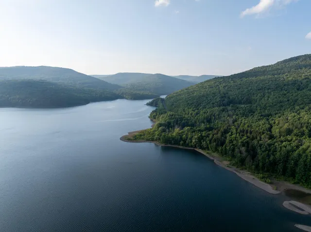 a view of a lake in middle of the forest