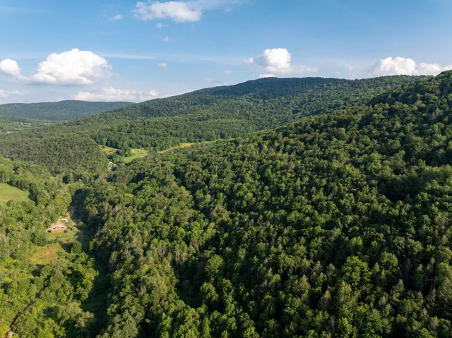 a view of a city and lush green forest