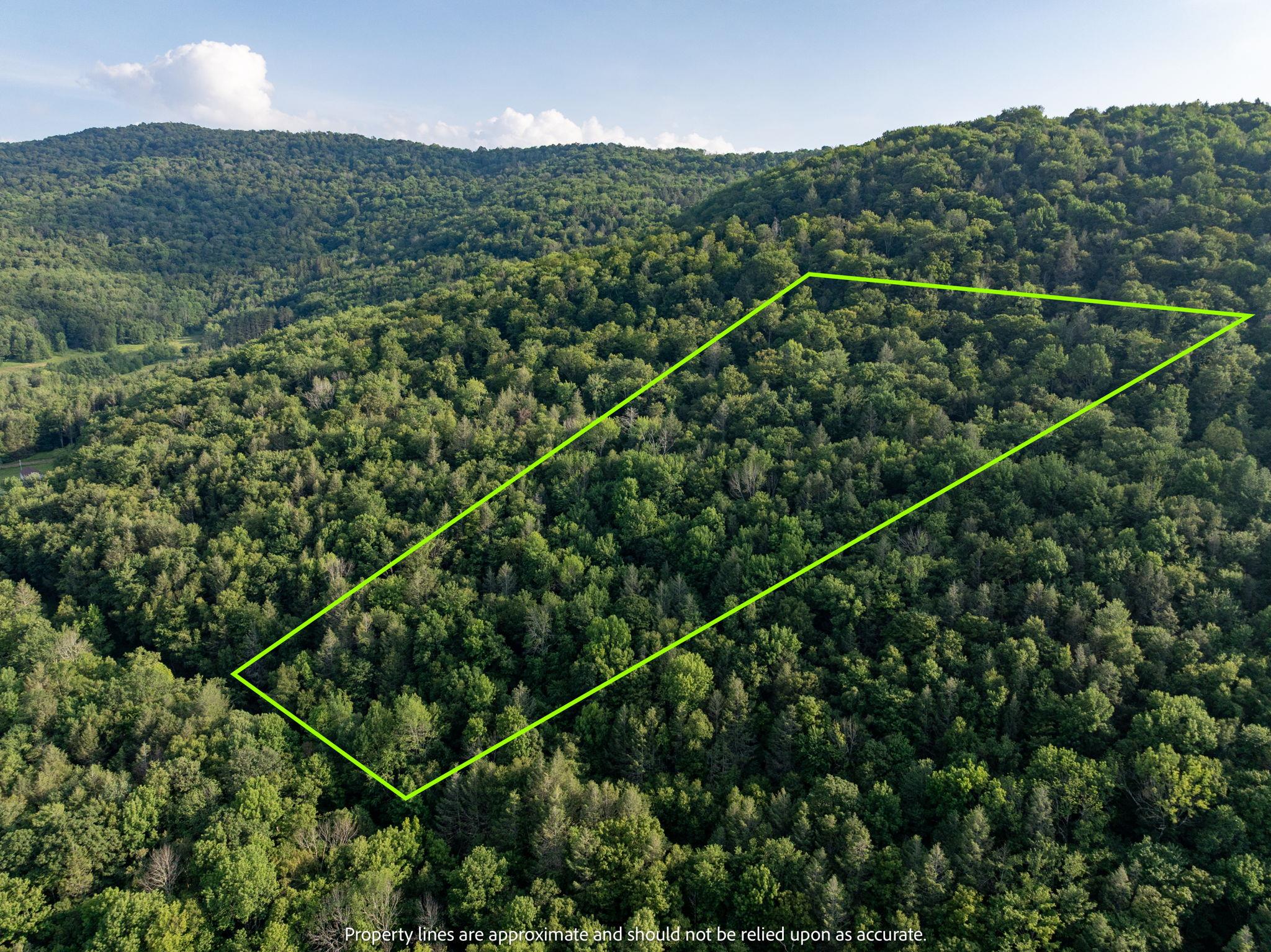 Broad Channel Road Andes, NY 13731 - Photo 4 of 23 a view of a balcony with an outdoor space